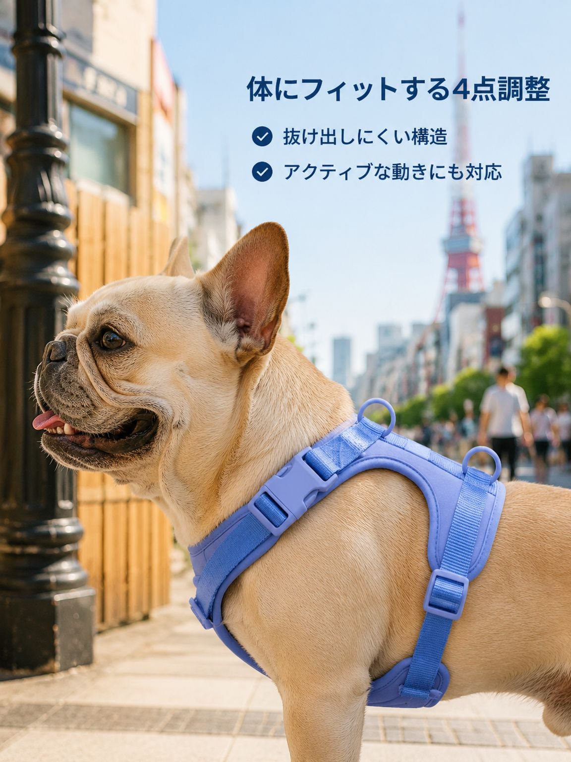ラグジュアリーでスタイリッシュなナイロンペットベストセット