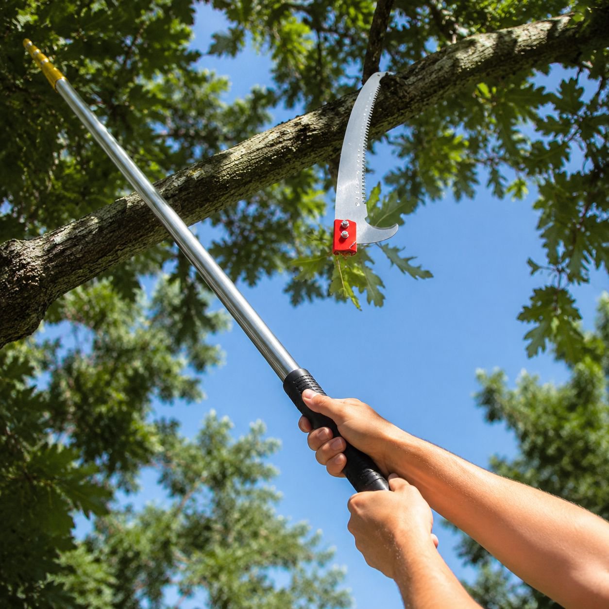Alloy Steel Telescopic Pole Saw