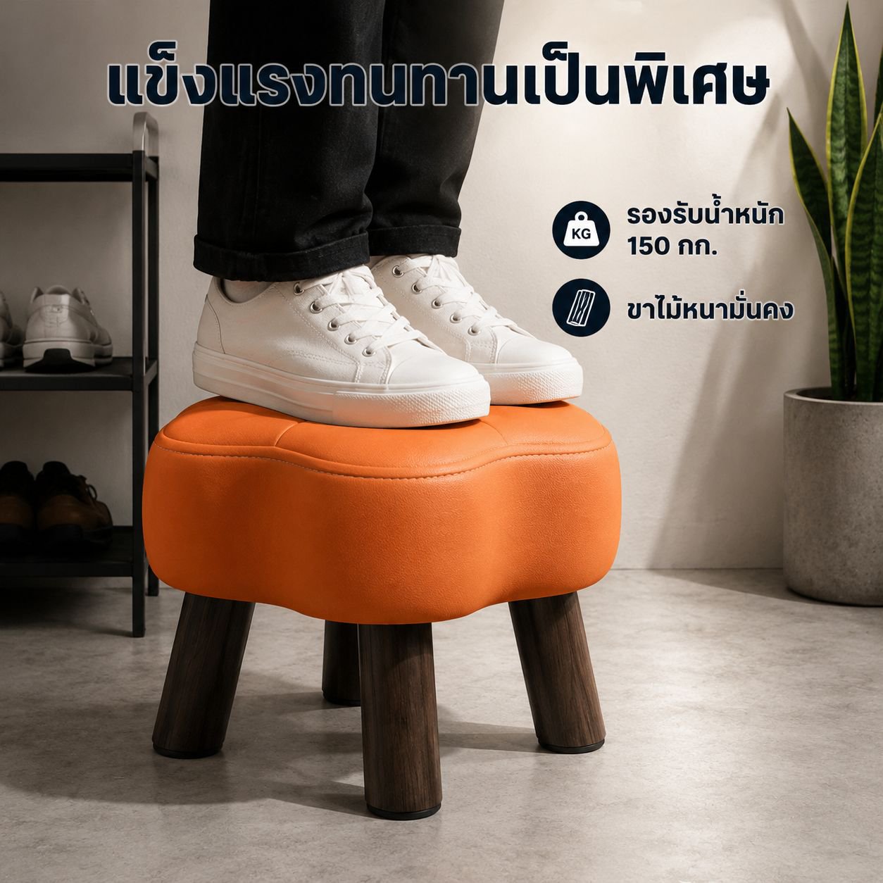 เก้าอี้ตัวเล็กสำหรับใช้ในบ้านและห้องนั่งเล่น