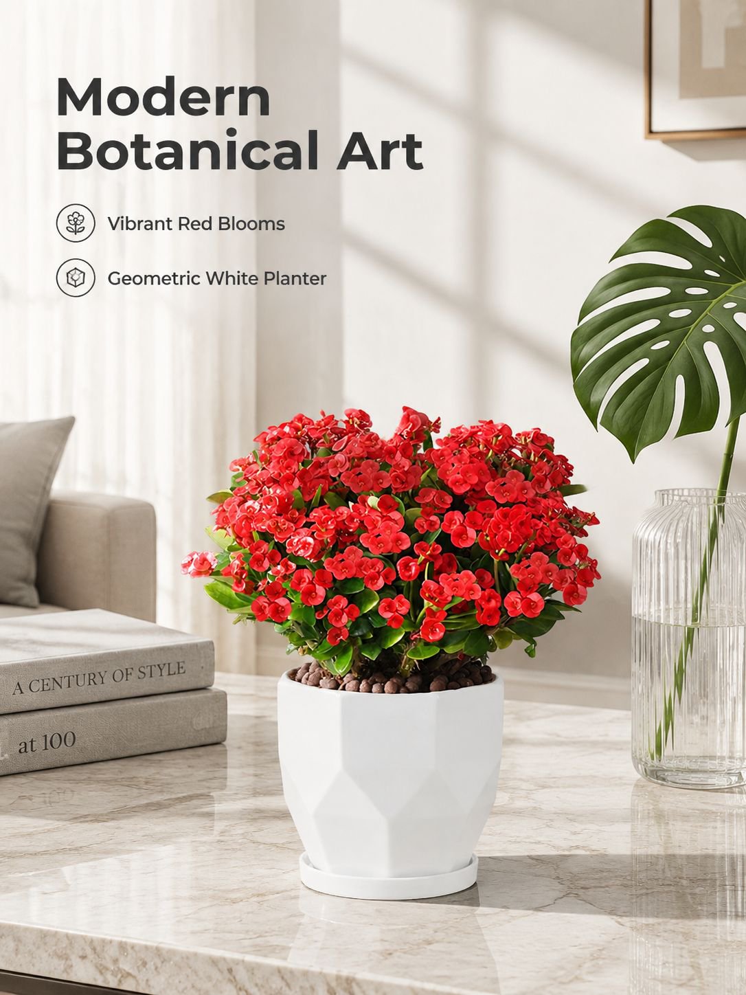 Four Seasons Blooming Crown of Thorns Bonsai