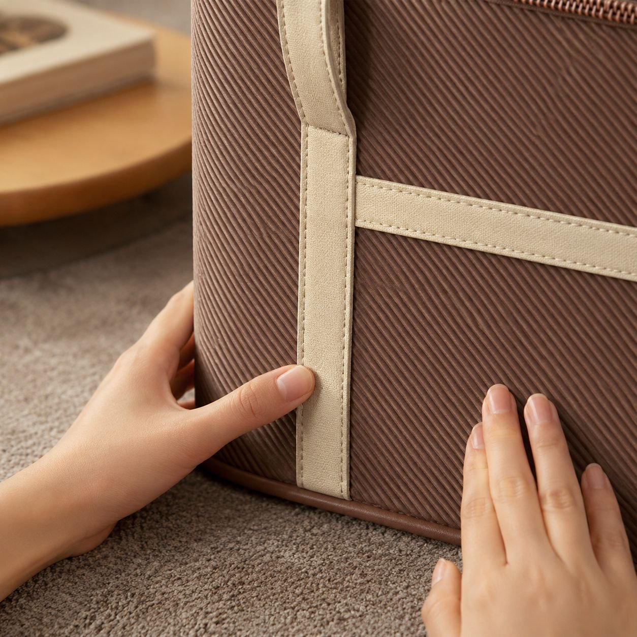 Reusable moving bag for home organization
