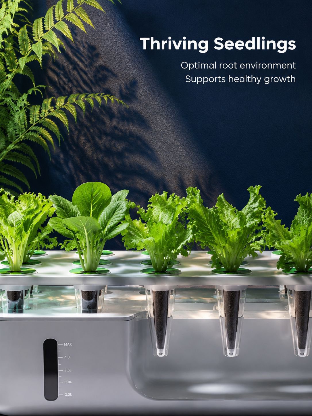 Hydroponic plant basket with healthy plant growth
