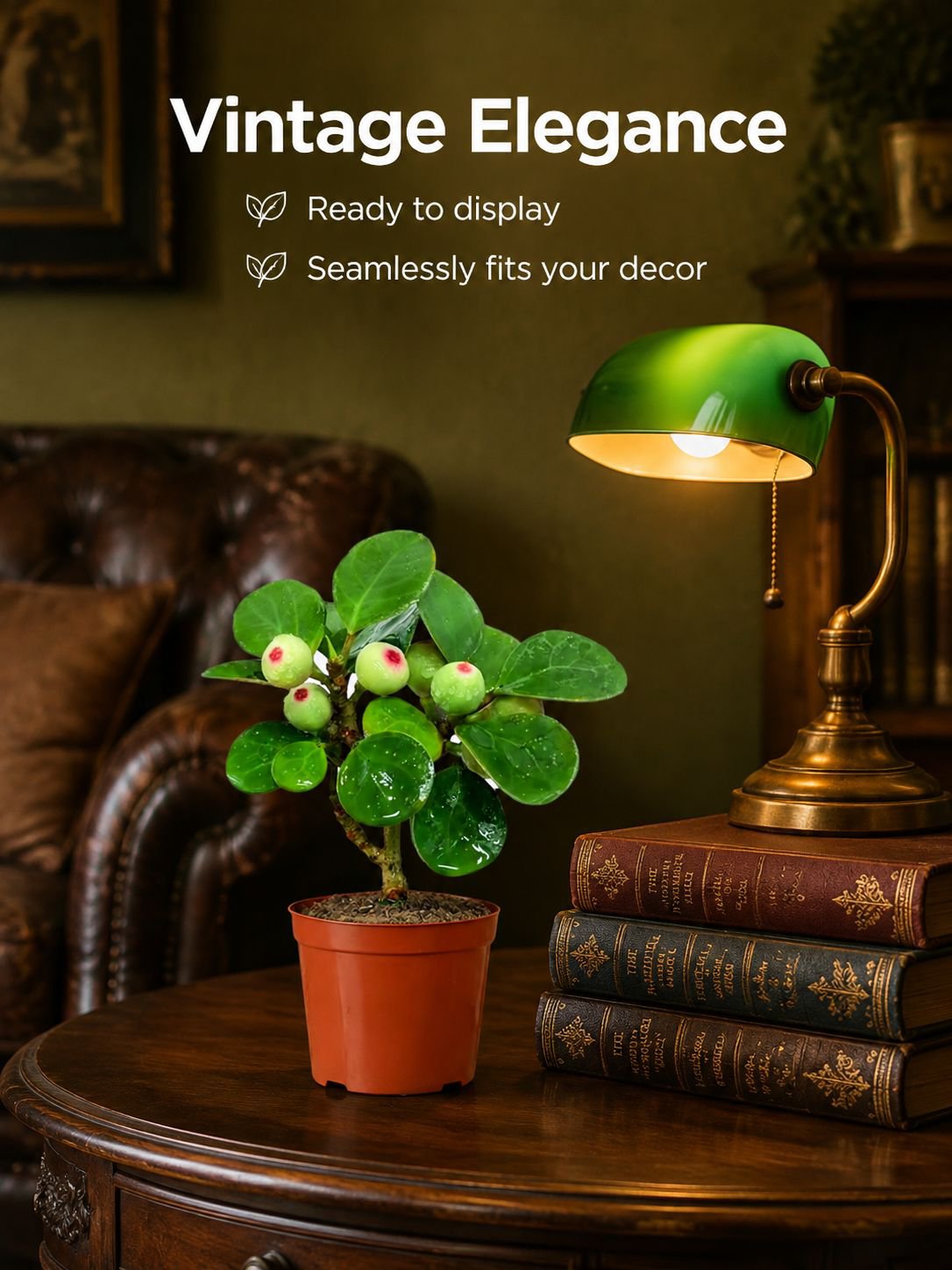 Bodhi green potted plants