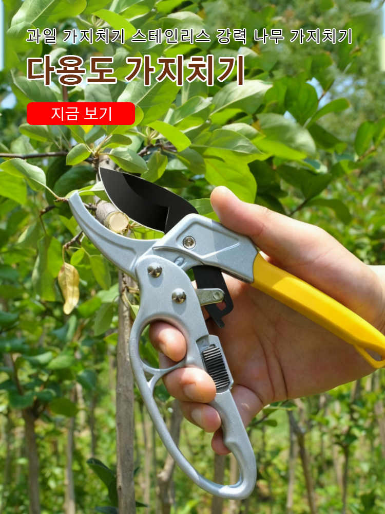 한국 쇼핑몰
