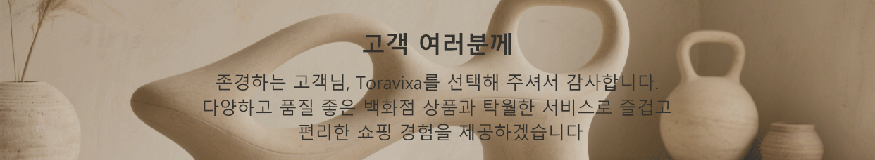 toravixa.com