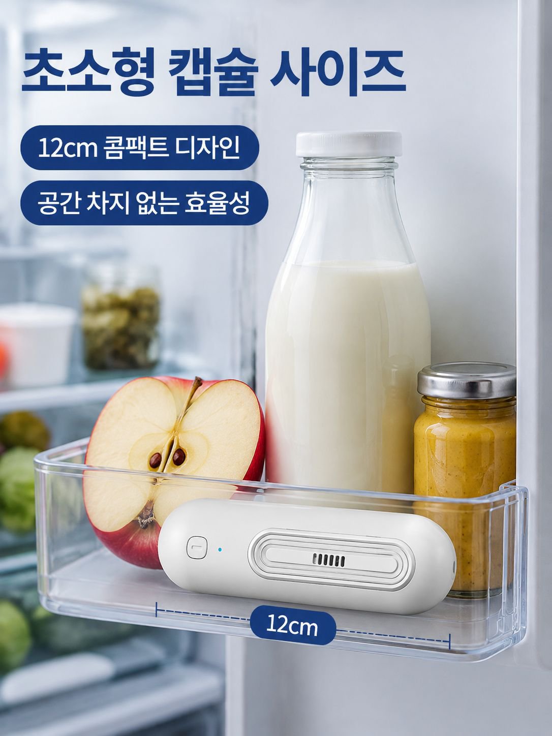 휴대용 탈취기