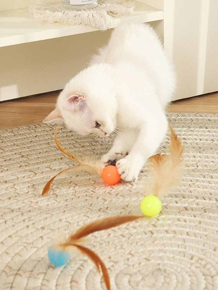 ศูนย์การค้าออนไลน์