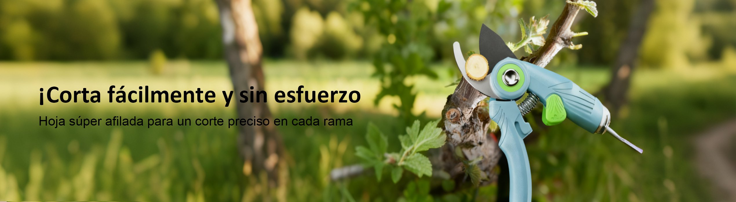 Compra productos esenciales para el hogar al mejor precio en línea,Accesorios de limpieza eficientes para mantener tu casa impecable,Herramientas de jardinería prácticas para cuidar tu jardín