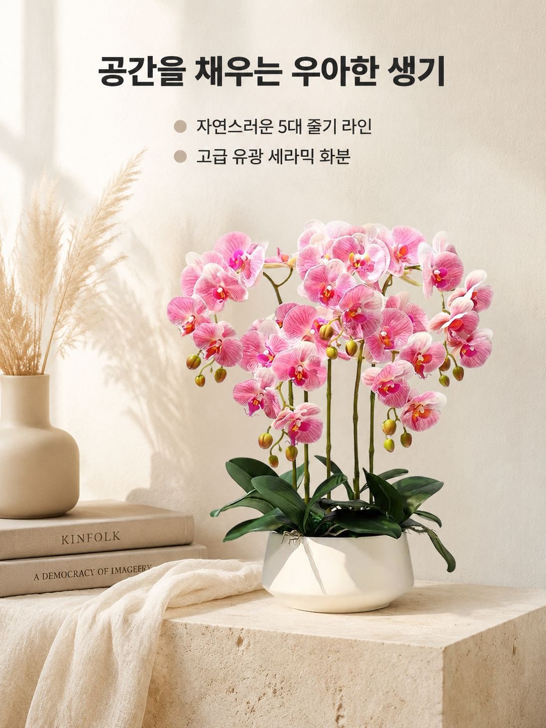 팔레노프시스 난초 실내 식물