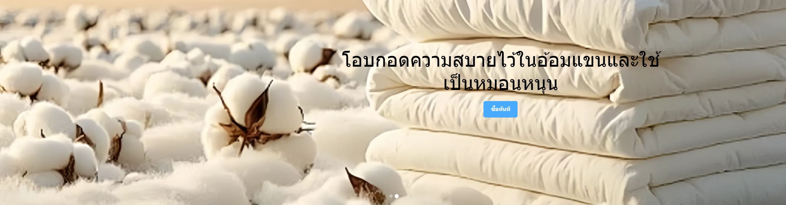 ศูนย์การค้าออนไลน์