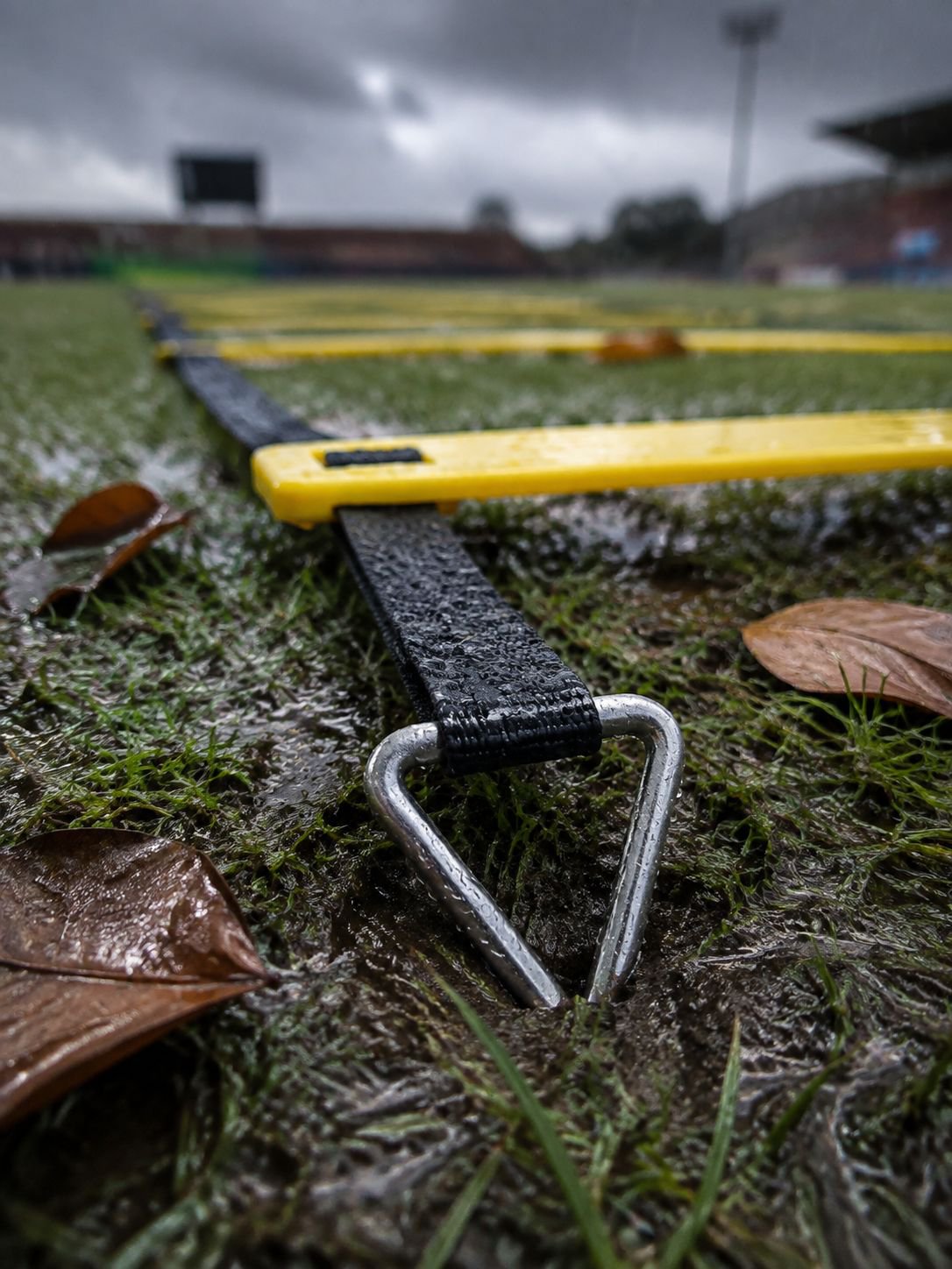 Complete behendigheidsladder-trainingsset