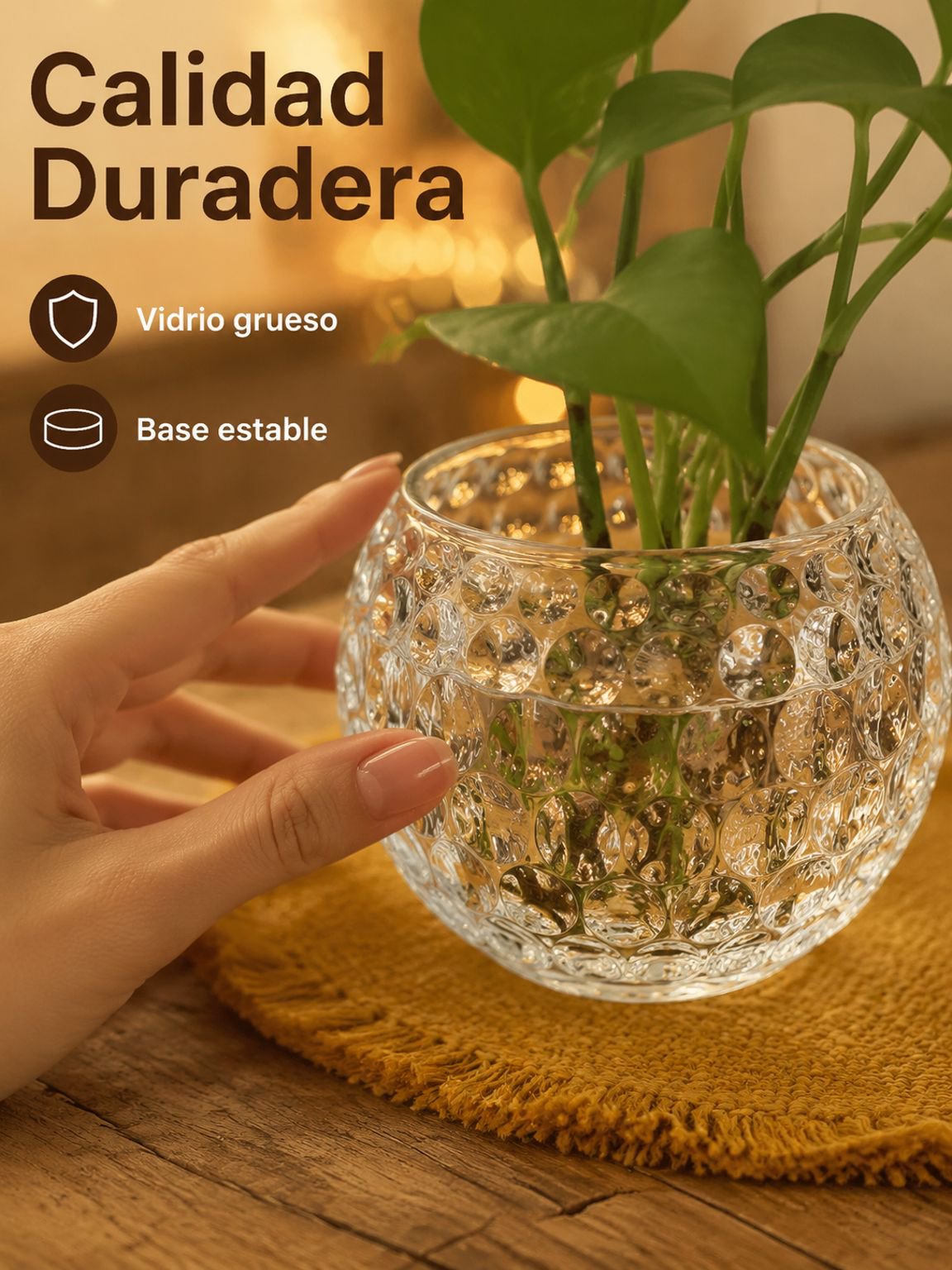 Botellas de agua para el cultivo de plantas de interior.