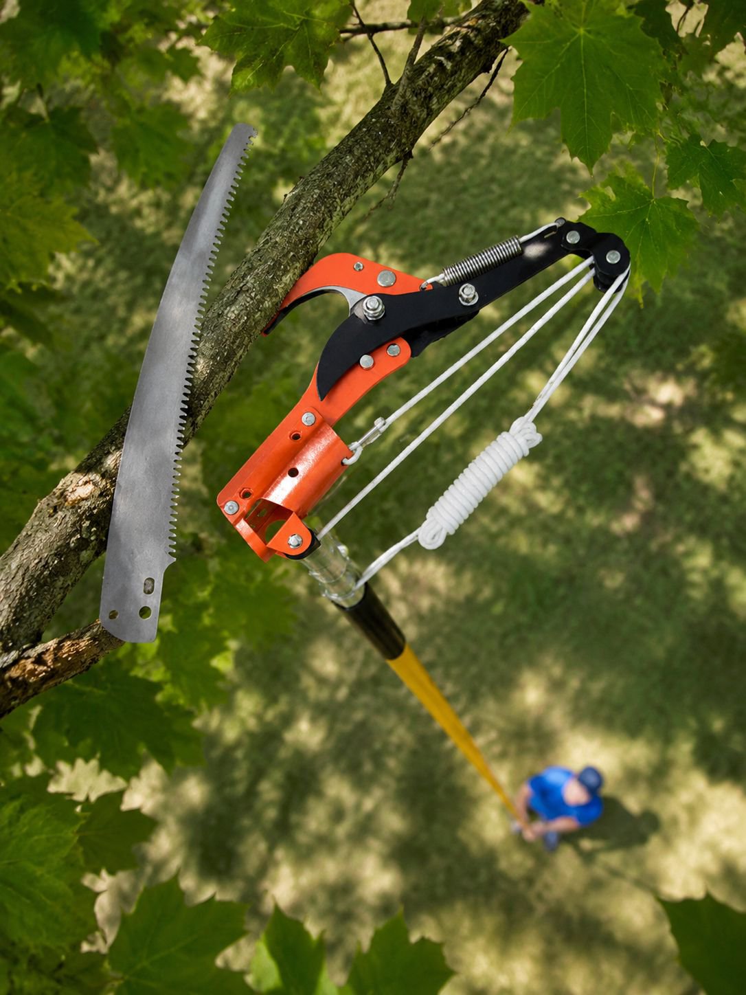 Close-up of telescopic pruning tool for high branches