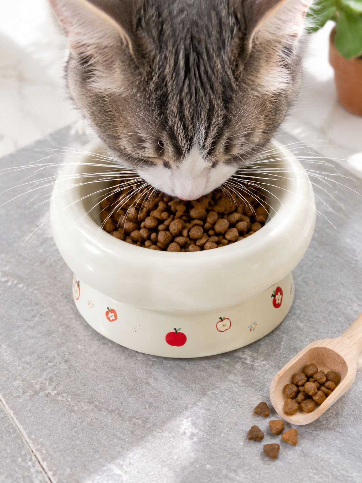 Großer Keramiknapf für Katzen mit breitem Durchmesser