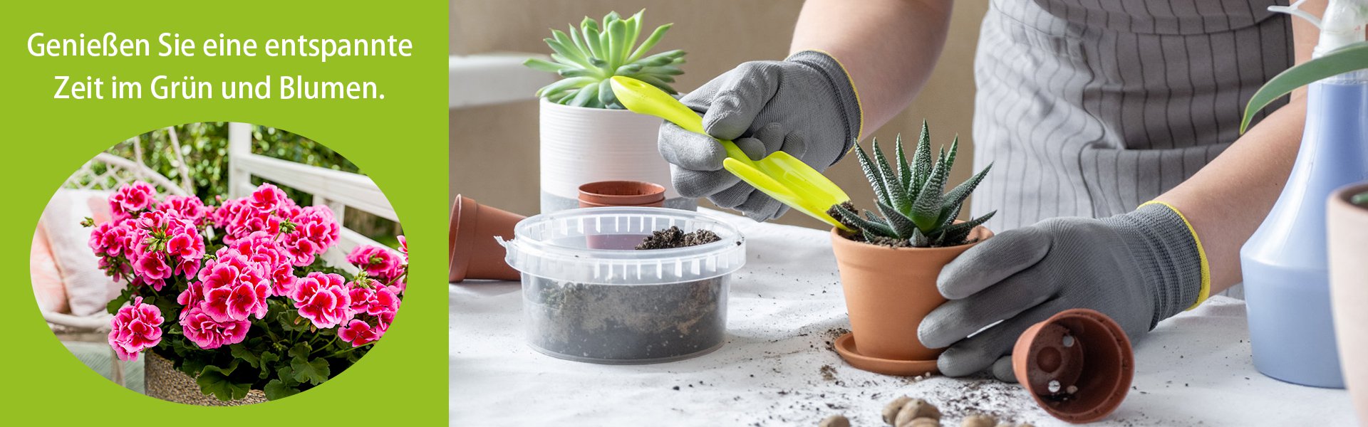 Online-Einkaufszentrum