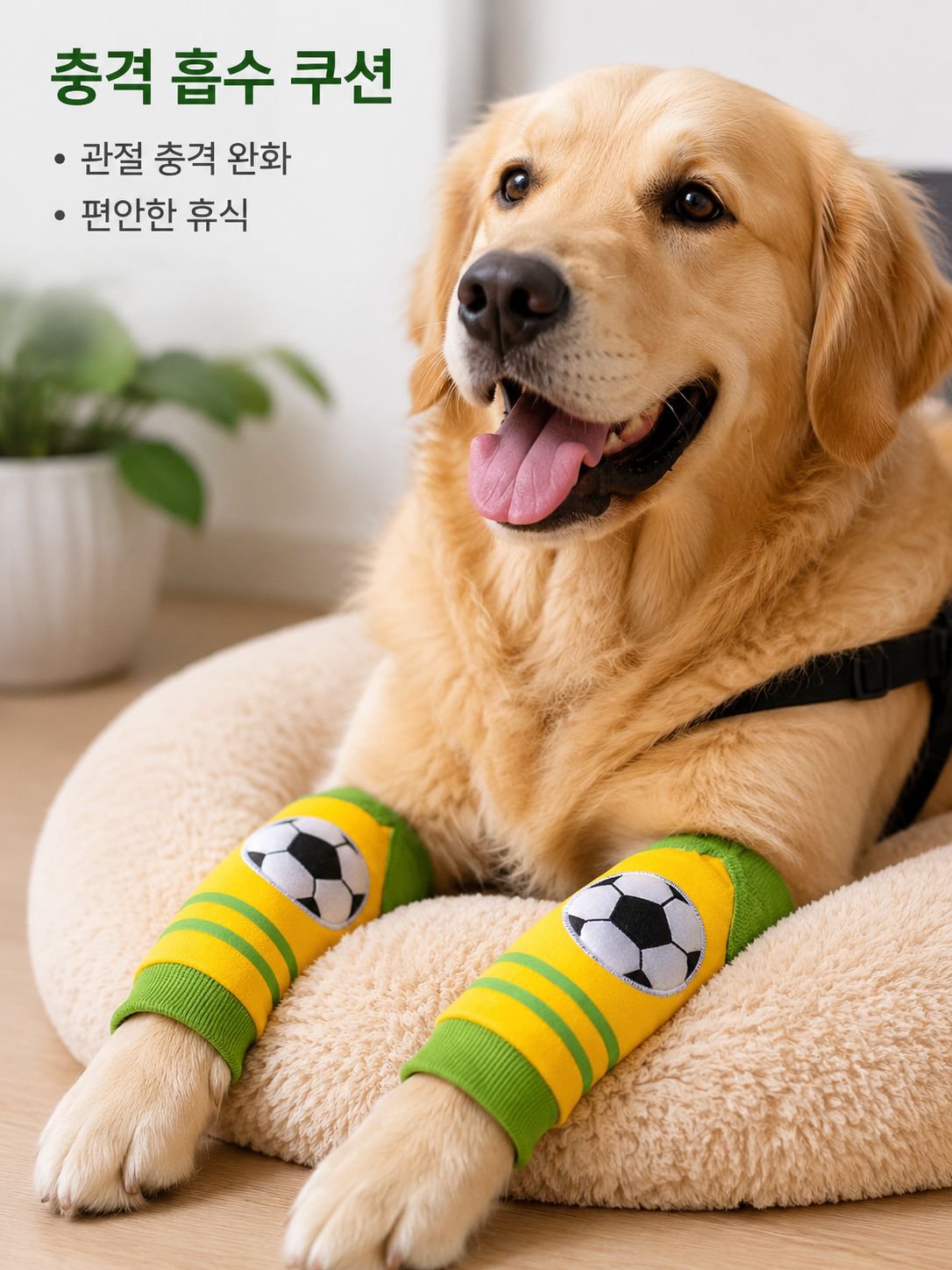 대형견 무릎 보호 다리 보호대