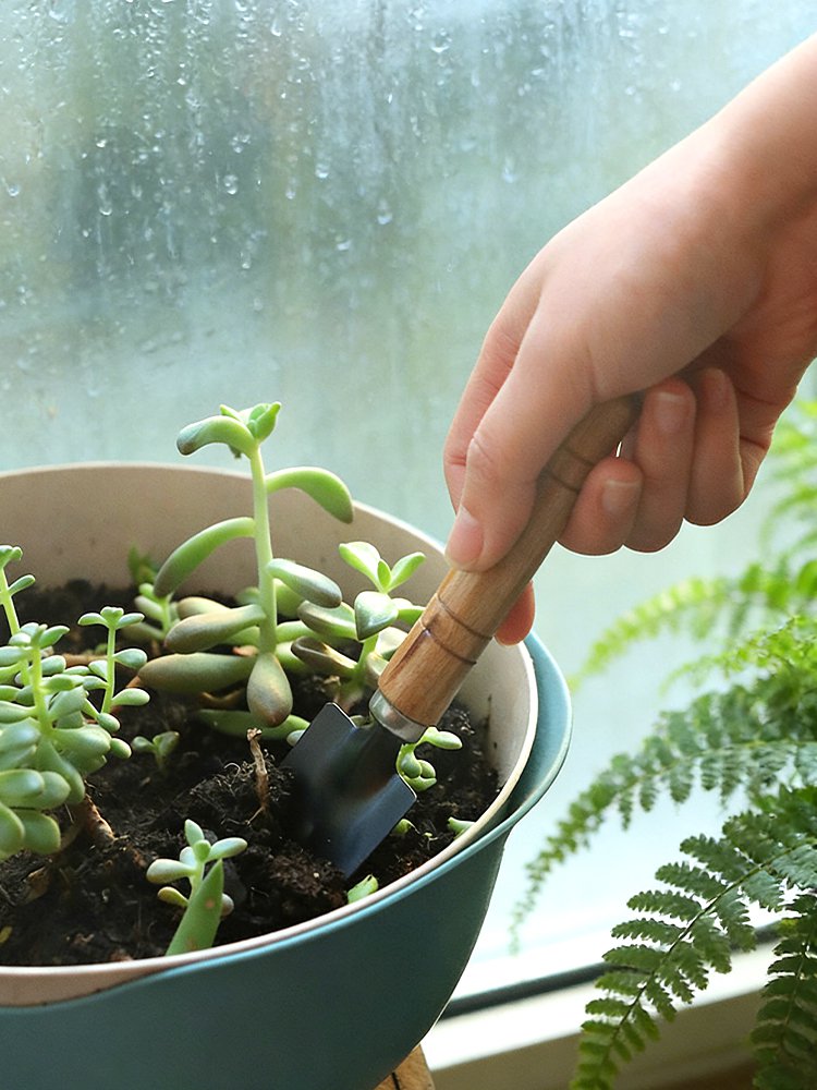 オンラインショッピングモール