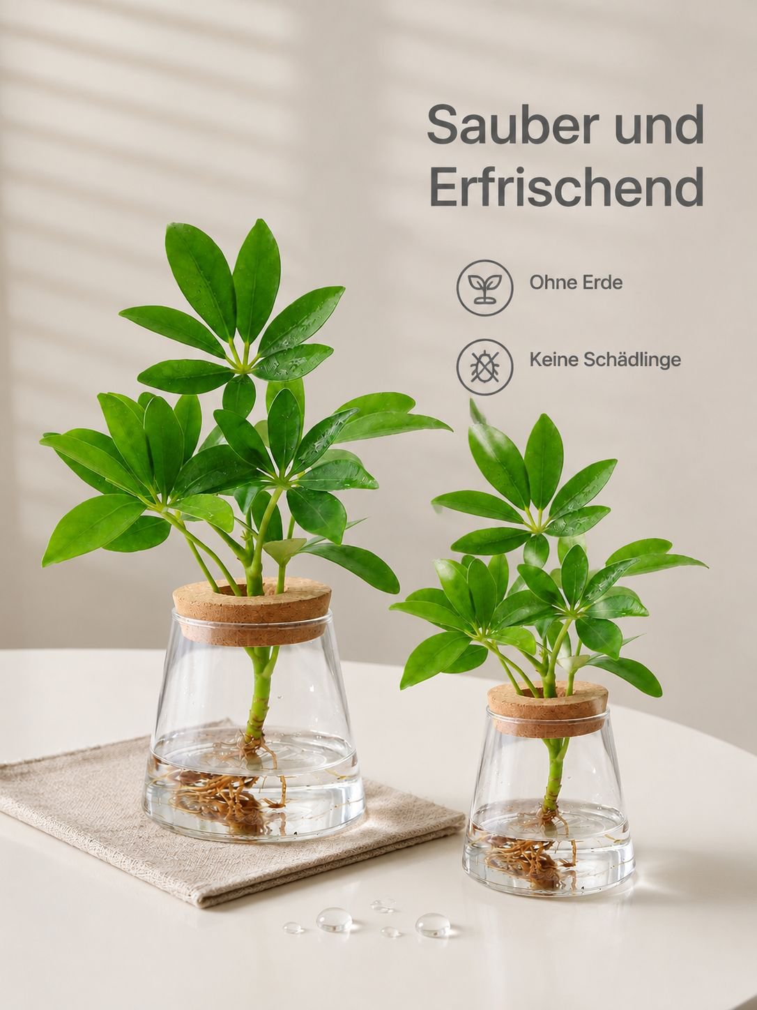 Ökoflasche als stilvolle Bürodekoration