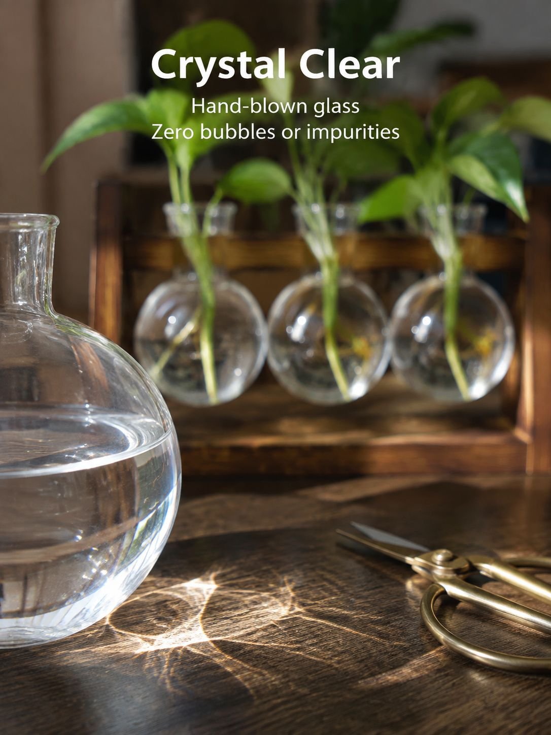 Modern hydroponic plant vase with wooden holder