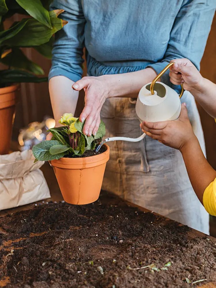 オンラインショッピングモール