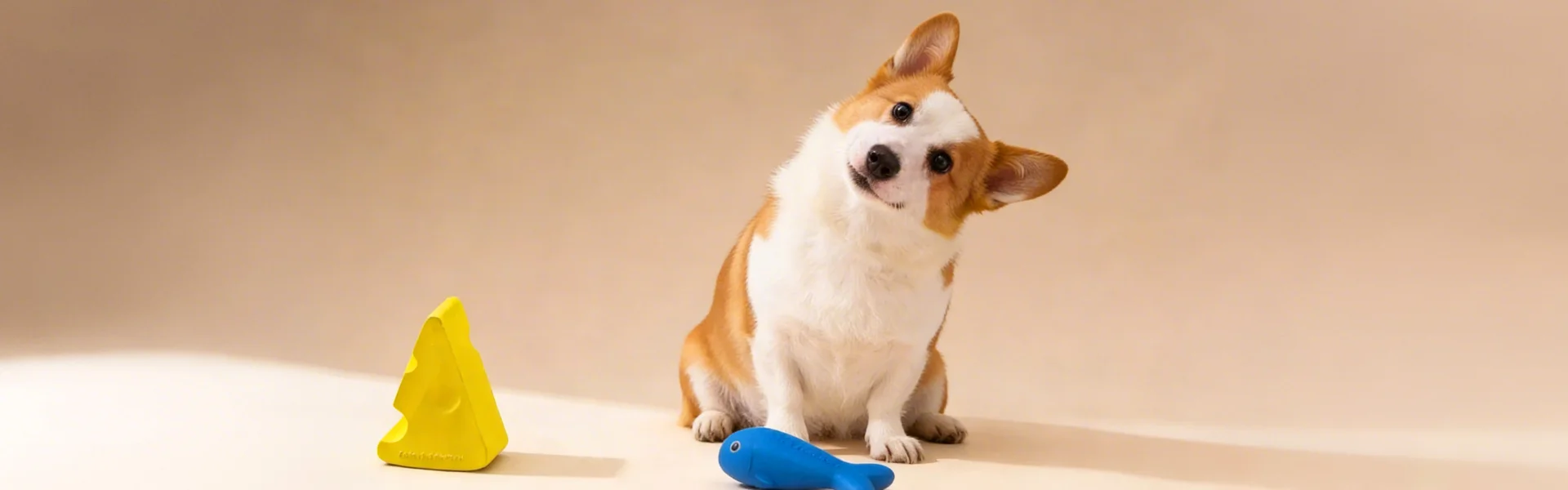 ศูนย์การค้าออนไลน์