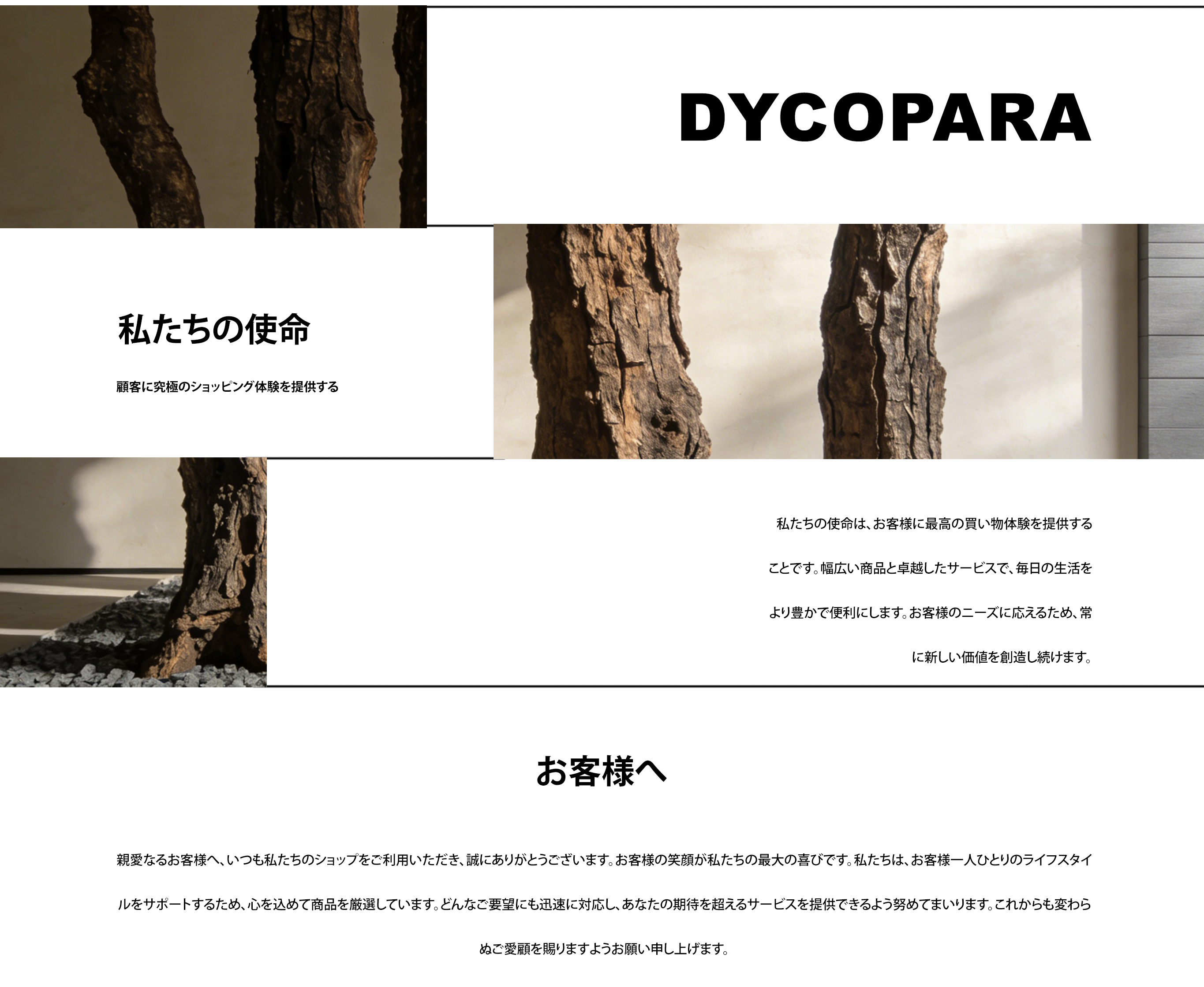 dycopara