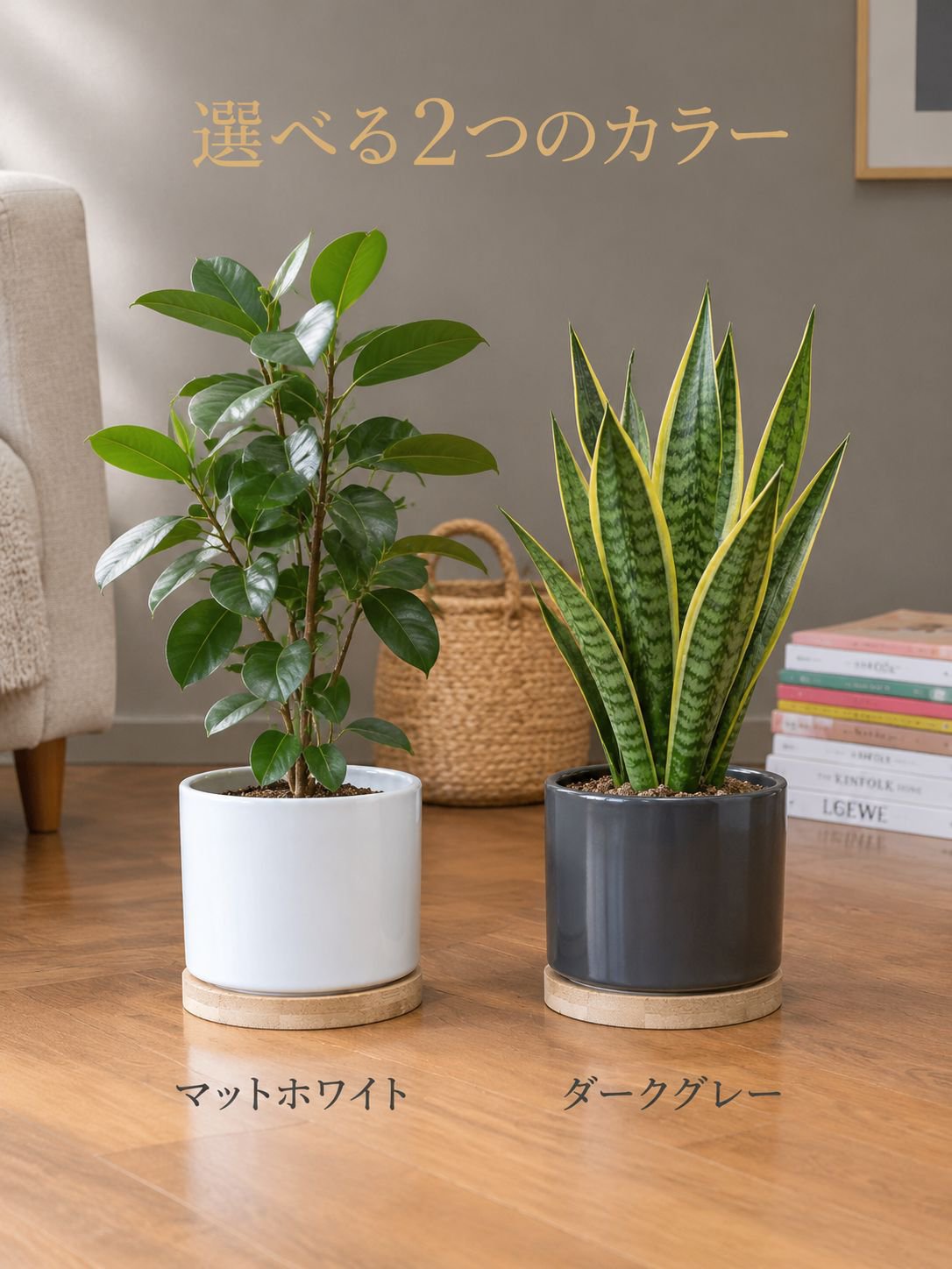 陶器の植木鉢