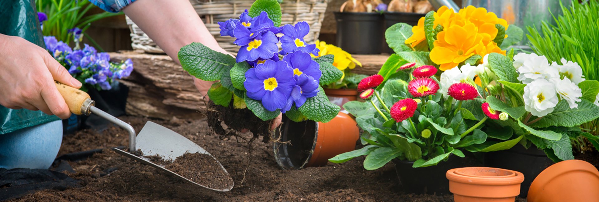 オンラインショッピングモール