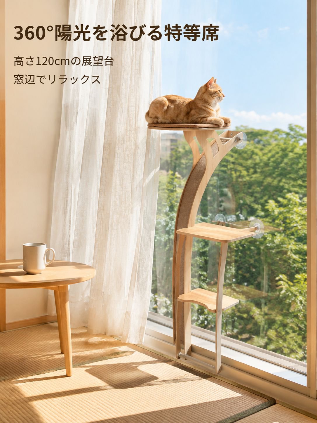 吸着式ガラスキャットタワー