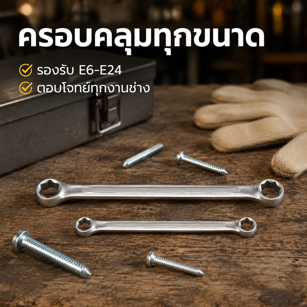 ประแจพ่นทรายแบบ E-type, เครื่องมือทอร์กซ์หกเหลี่ยมสองด้าน