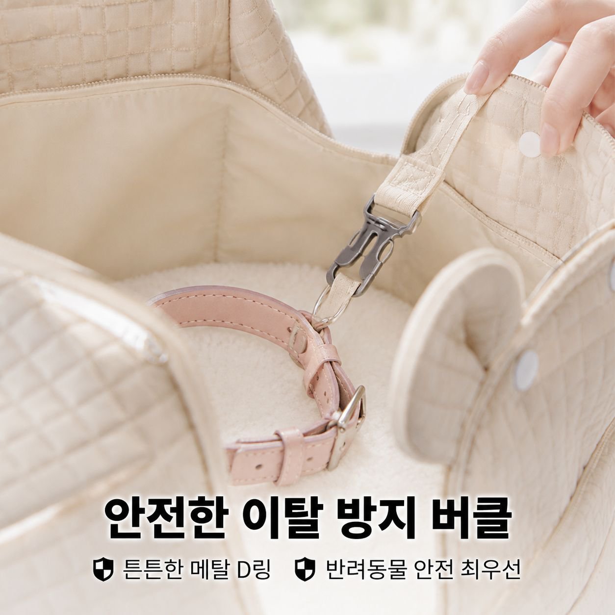 고양이 소형견 전용 통기성 외출 백팩