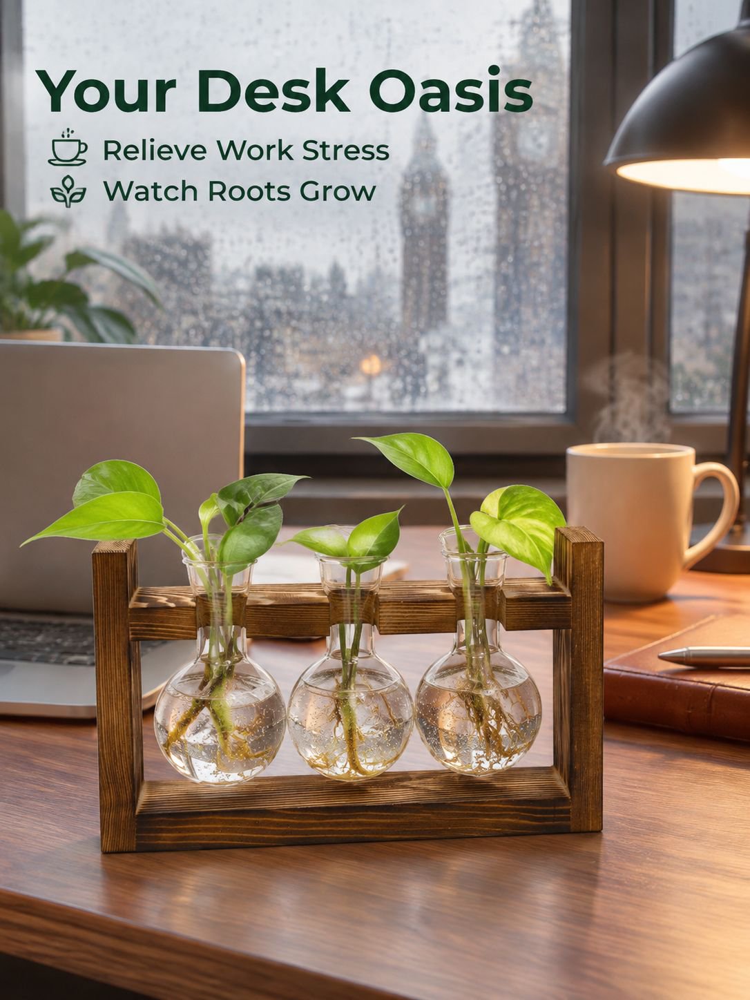 Glass Bottle Hydroponic Greenery Wooden Stand Ornament