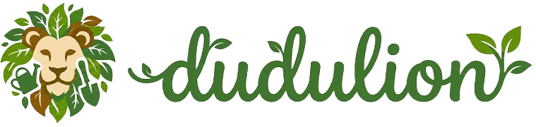 Online Store