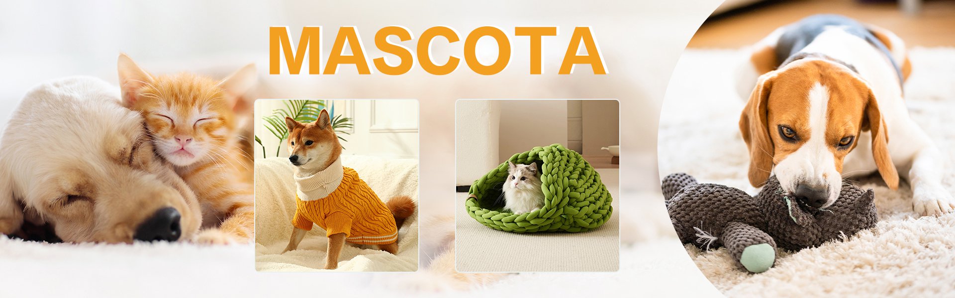 Calidad Europea a Precios Sorprendentes