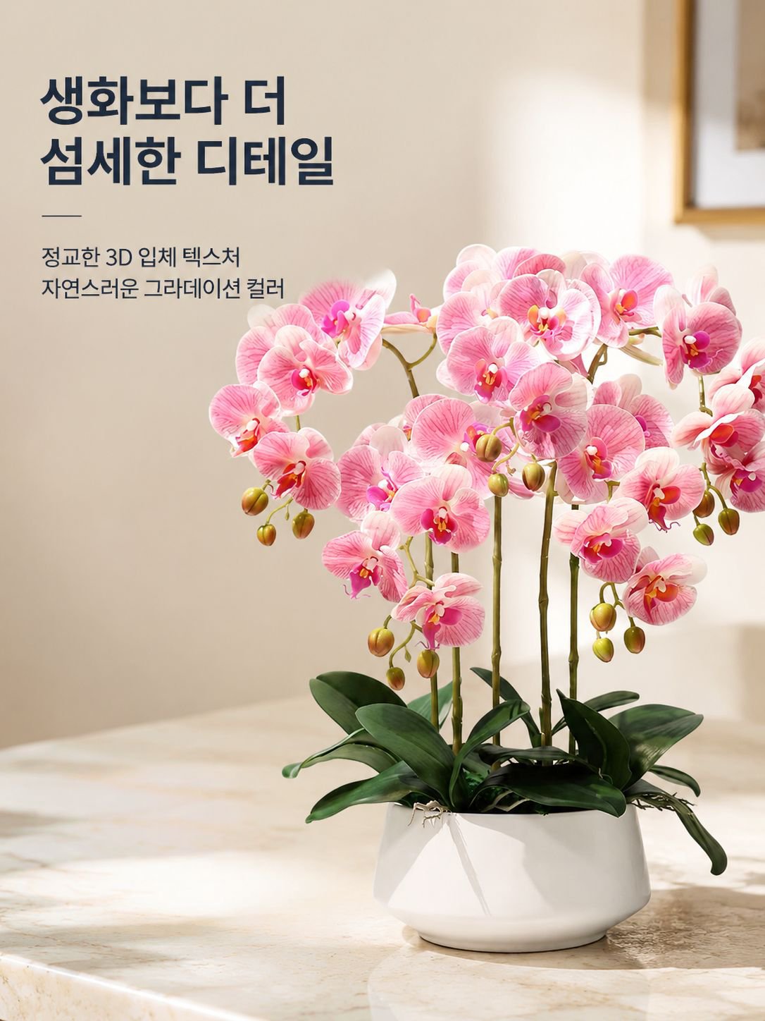 팔레노프시스 난초 실내 식물