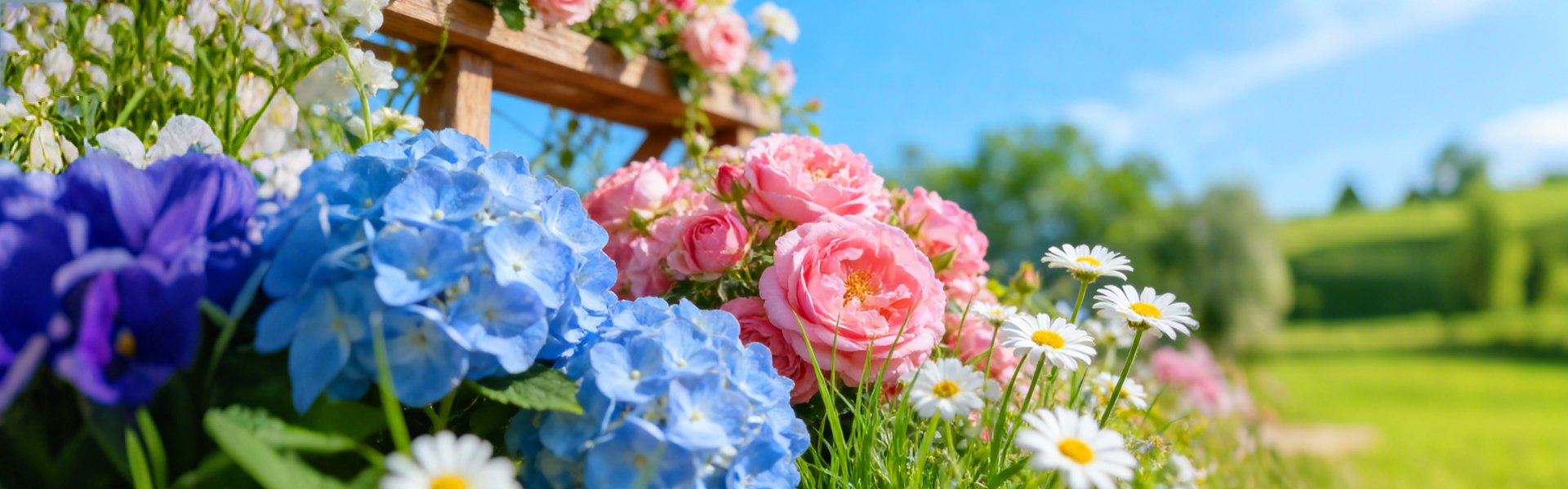 Online shopping MALL