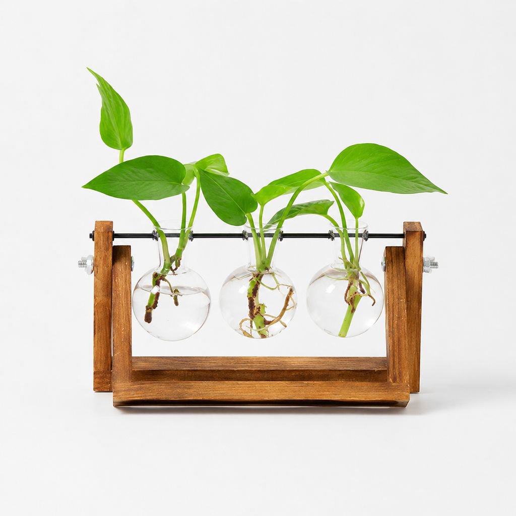 Jarrón de vidrio moderno para hidroponía, ideal para decoración de oficina y hogar