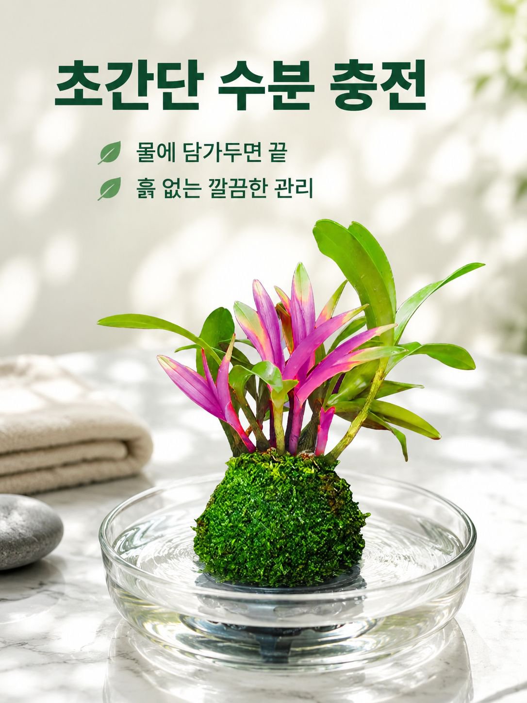 덴드로비움 꽃과 녹색 식물