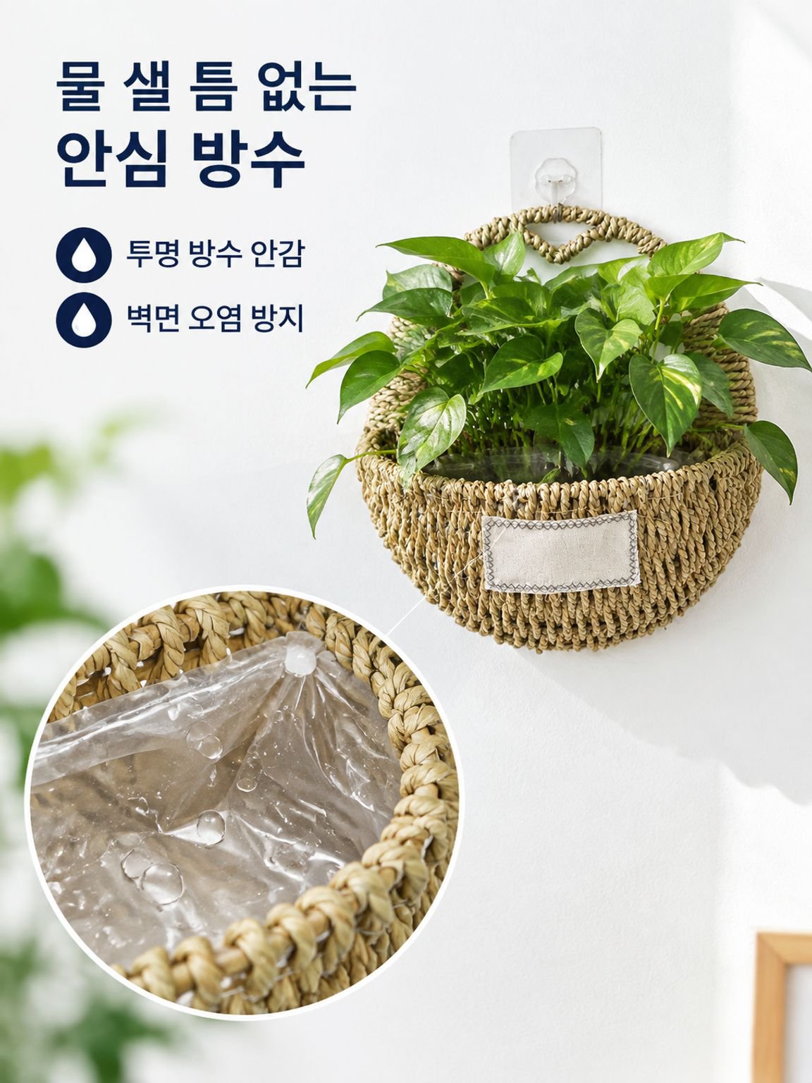 포토스 및 관엽식물용 벽걸이형 화분