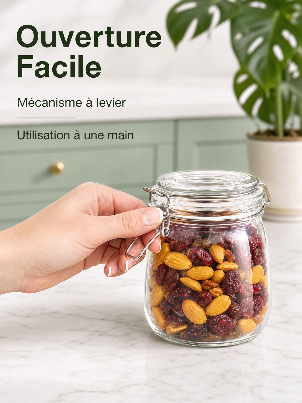 Lot de bocaux en verre à fermeture mécanique