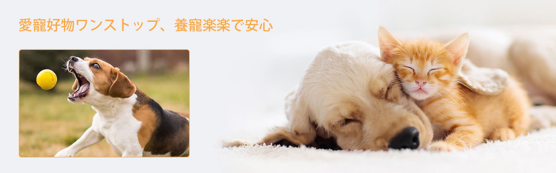 オンラインショッピングモール