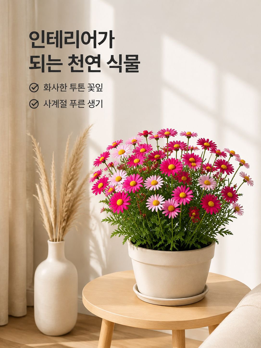 사계절 컬러 모기 방지 식물 화분
