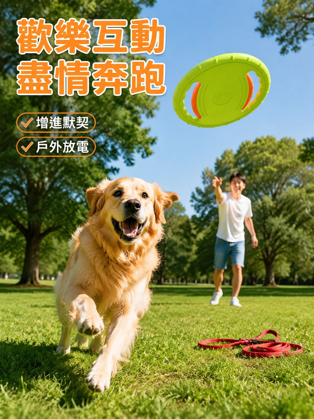 寵物犬泡棉材質飛盤