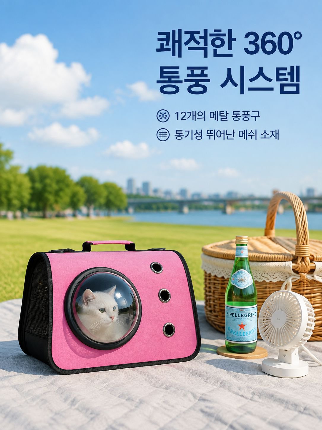 휴대용 접이식 고양이 외출 가방