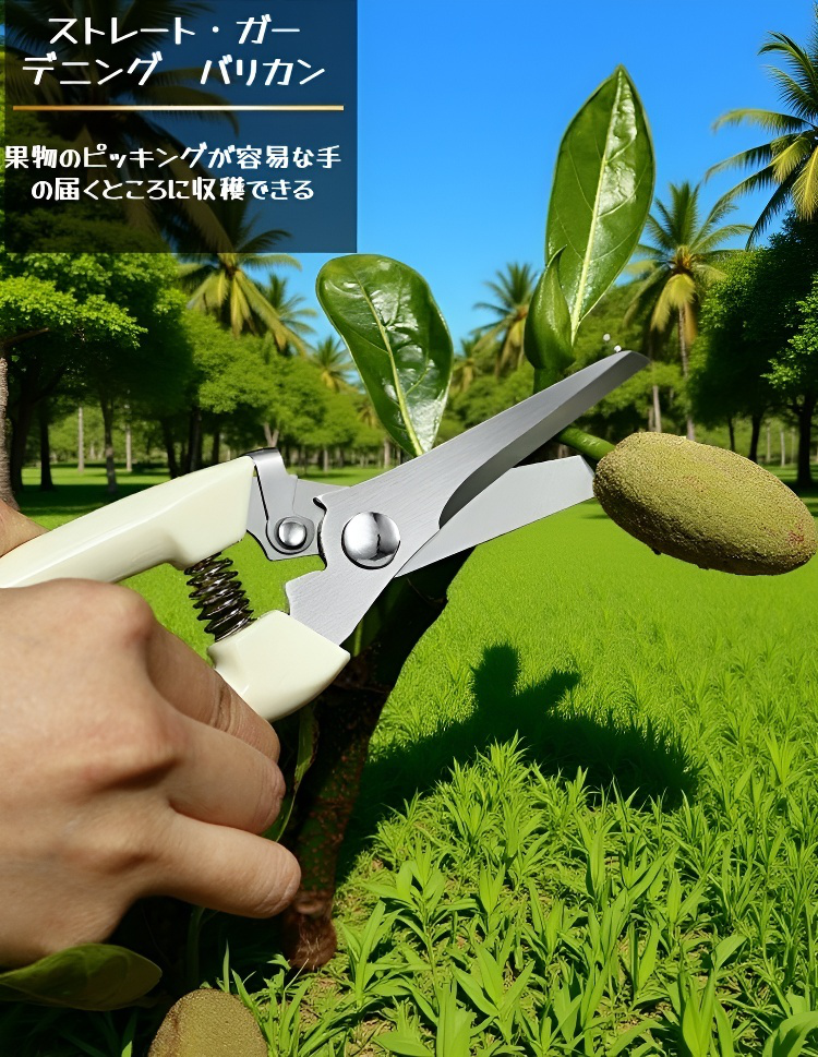 剪定鋏で庭木の枝をカットする様子