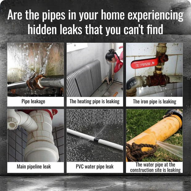 Professional gas leak detection tool with accessories