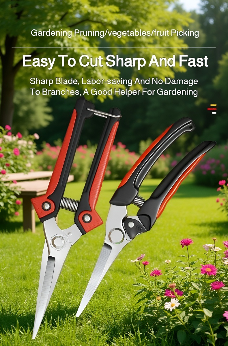 Gardening pruning shears for fruit pruning close-up