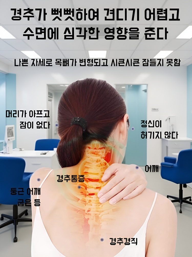 성인 요추 전용 메밀 베개 한 쌍 목 보호 원통 베개 심 싱글 견인 베개