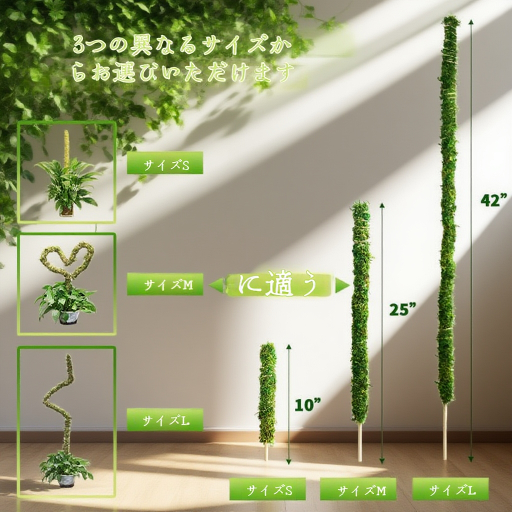 ラタンブラケットの全体画像