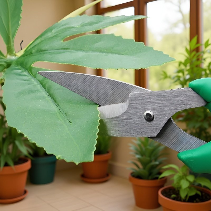 庭木の剪定用盆栽鋏